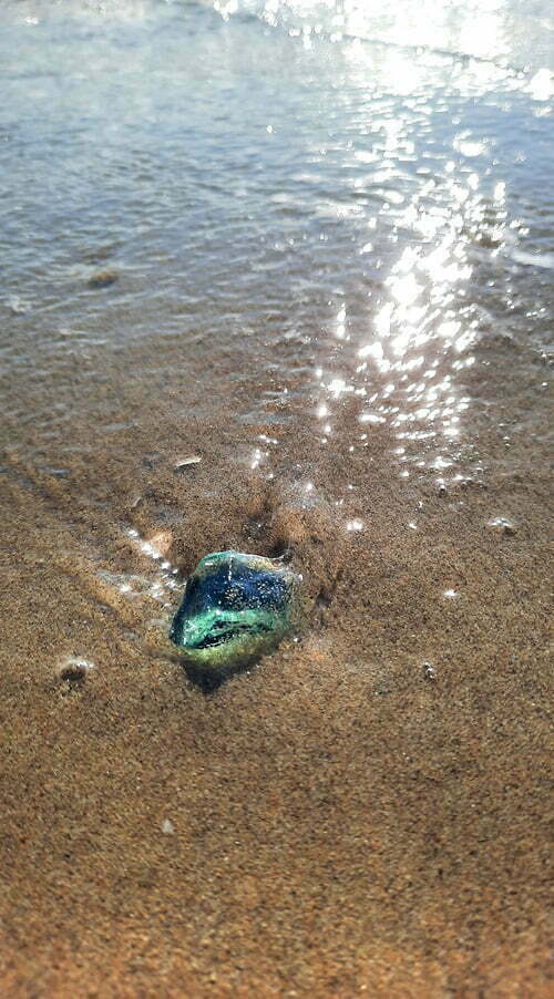 Blue Andarian Dolphin Manifesting in Sea
