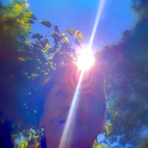 Krystalline Lightbody Embodiment Mentorship