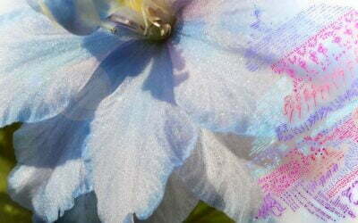Angelic Light Codes