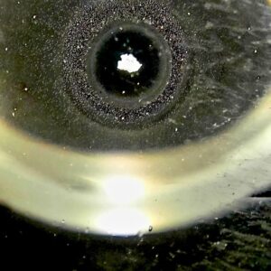Cosmic Crystallized Chalice