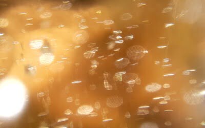 Golden Solar Universe